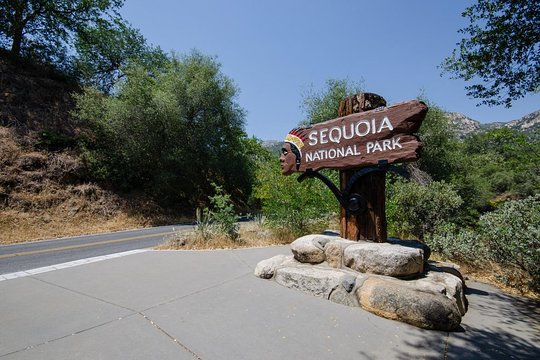 Tour image 4