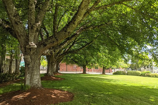 Tour image 6