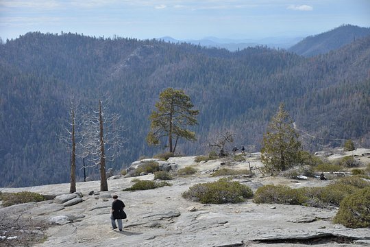 Tour image 14