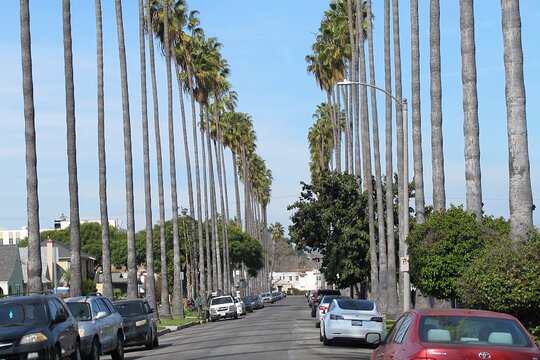 Tour image 6